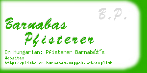 barnabas pfisterer business card